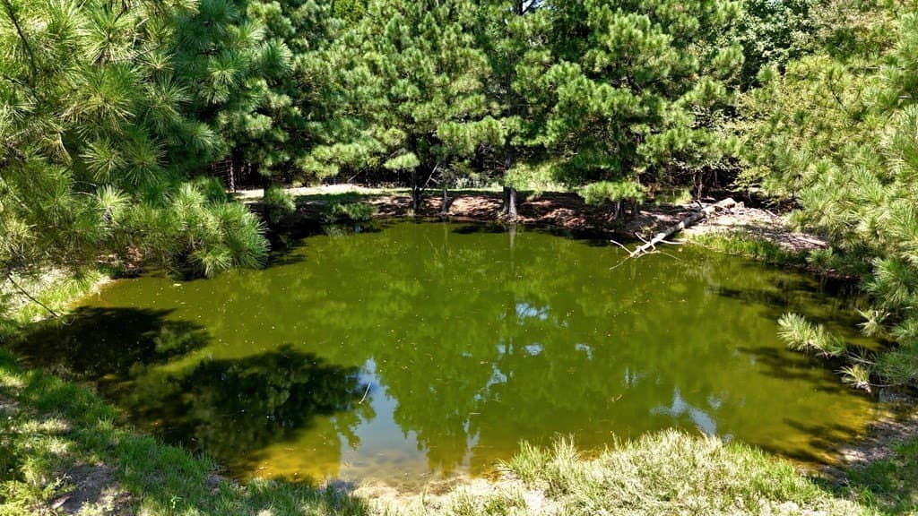 30.44 acres in Henderson County - photo 36
