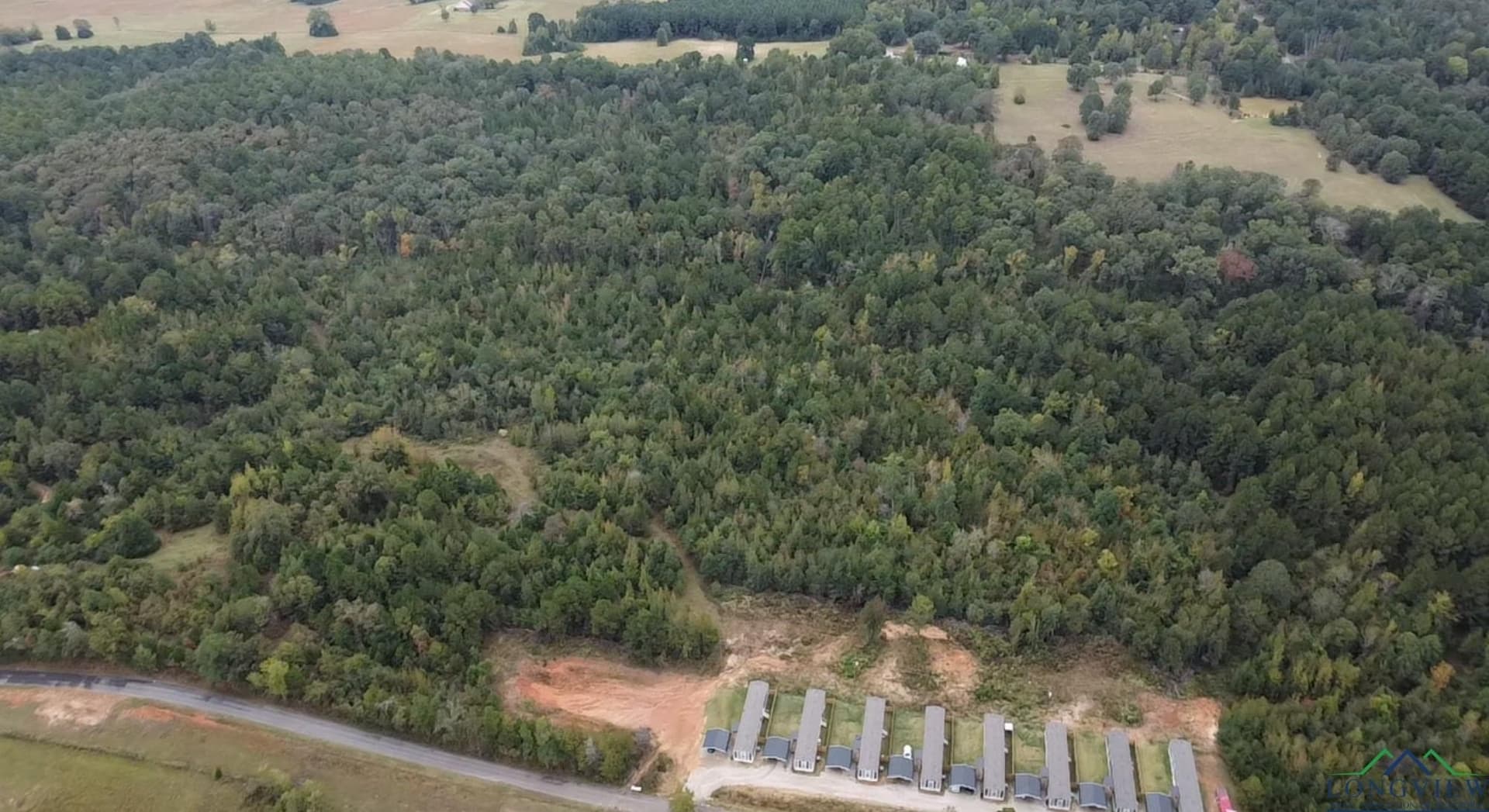 49 acres in Harrison County - photo 12