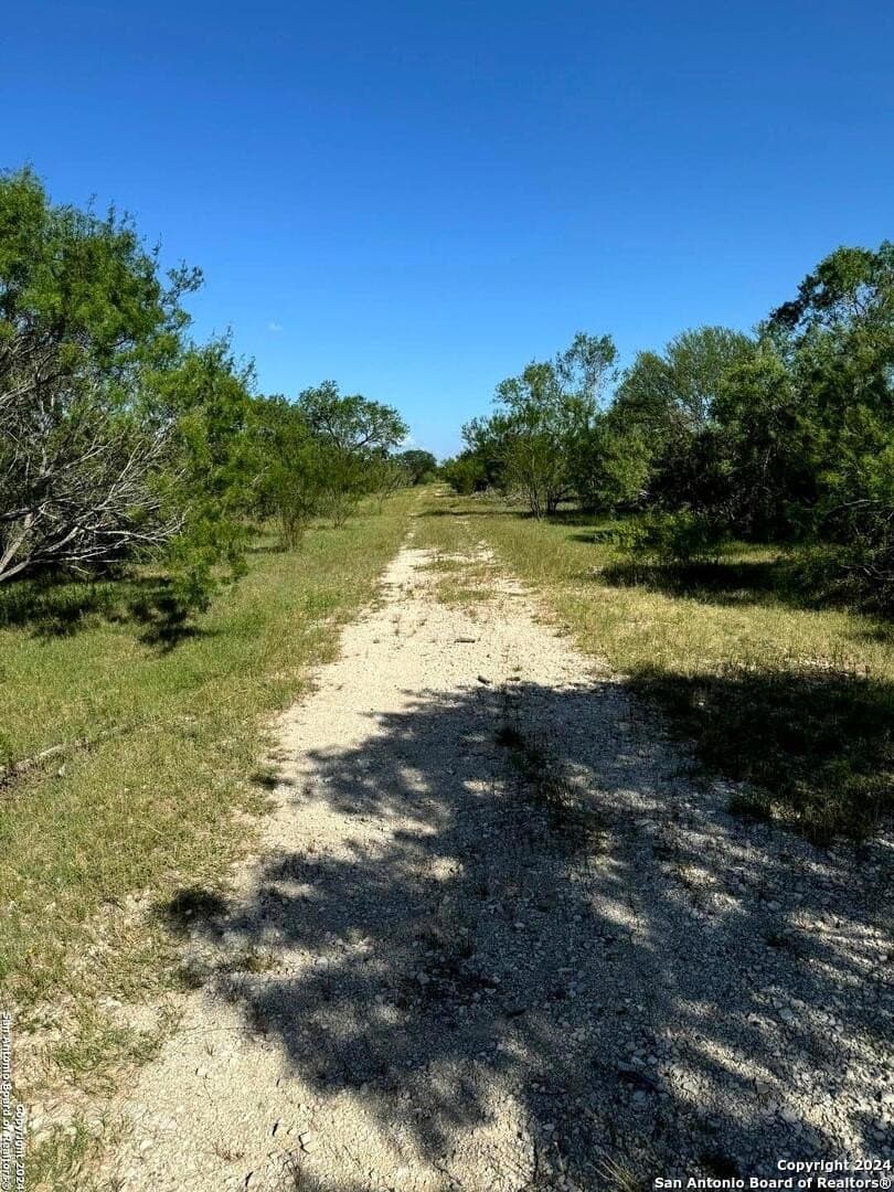 22.22 acres in Atascosa County - photo 13