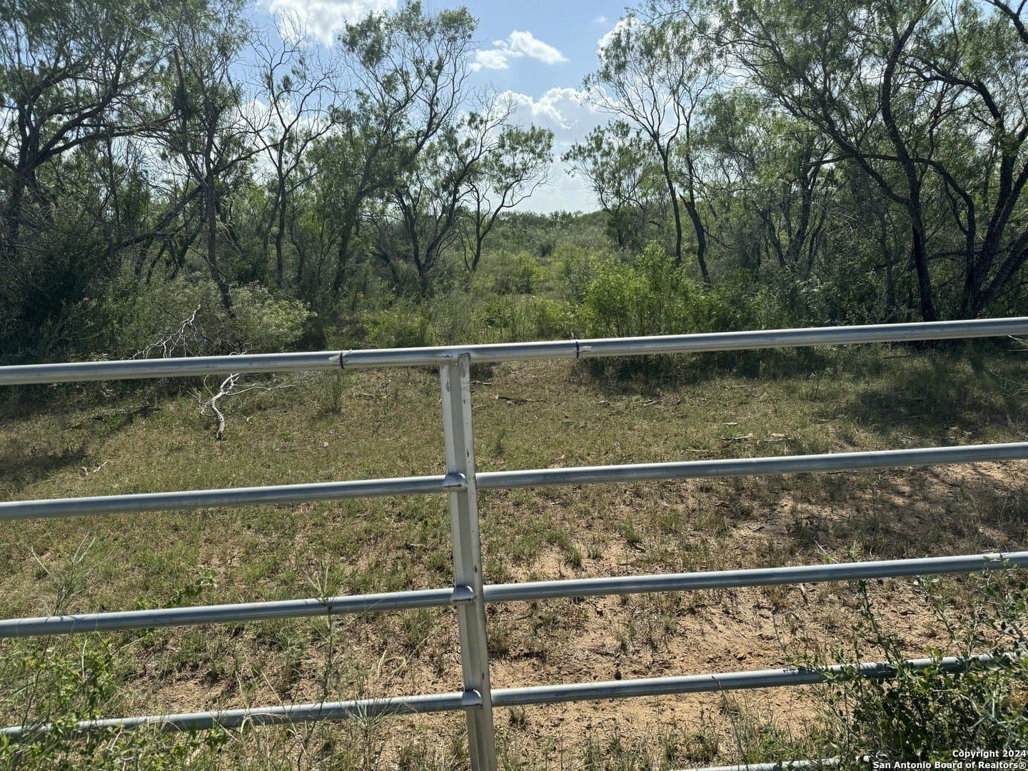 22.22 acres in Atascosa County - photo 5