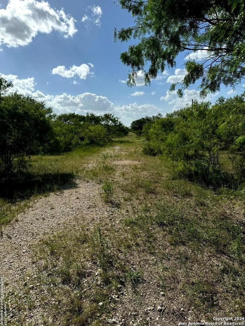 22.22 acres in Atascosa County - photo 6