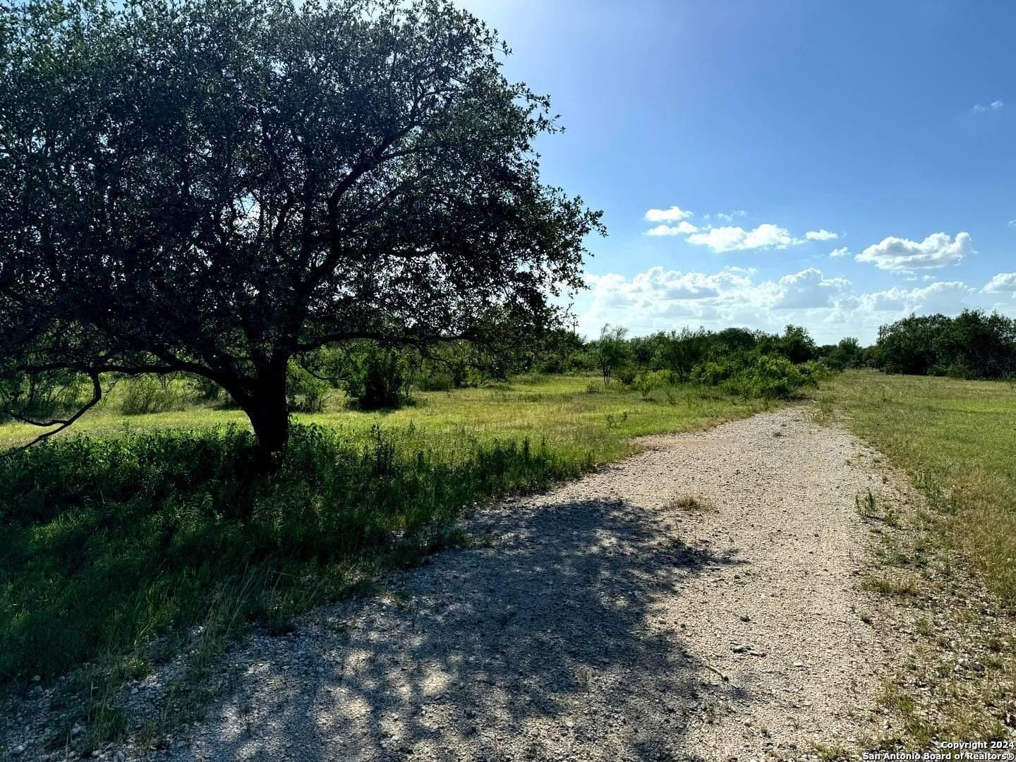 22.22 acres in Atascosa County - photo 12