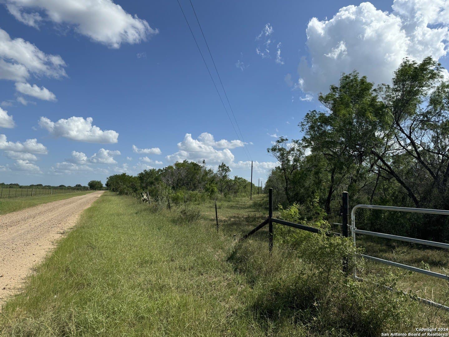 22.22 acres in Atascosa County - photo 4