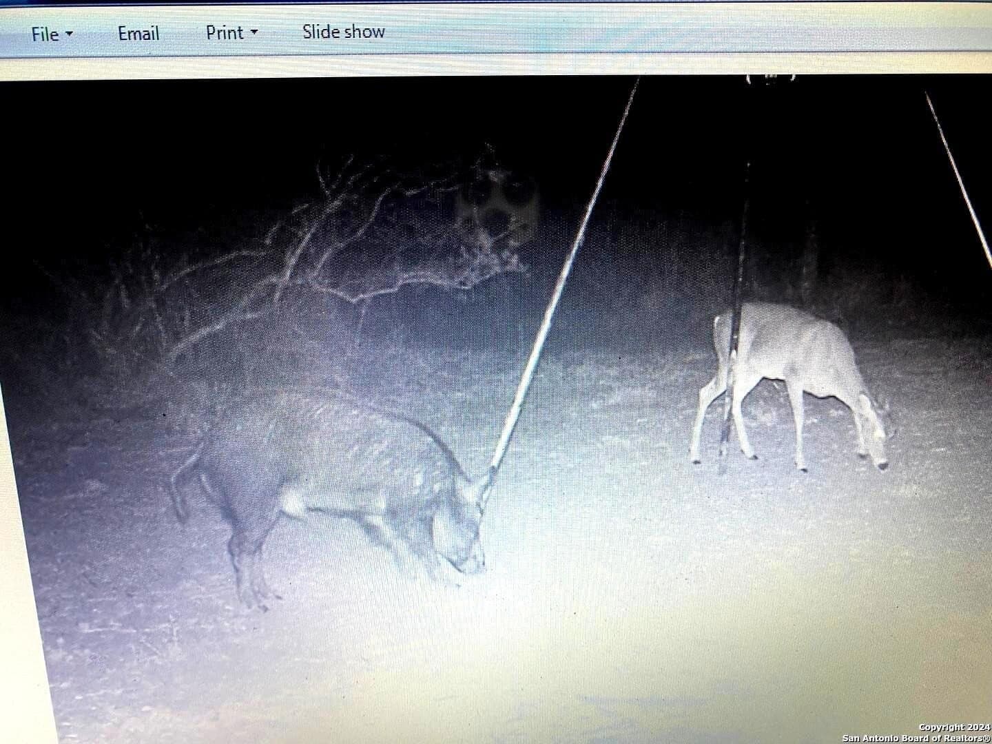 22.22 acres in Atascosa County - photo 19