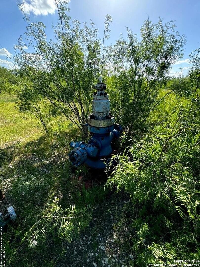 22.22 acres in Atascosa County - photo 15