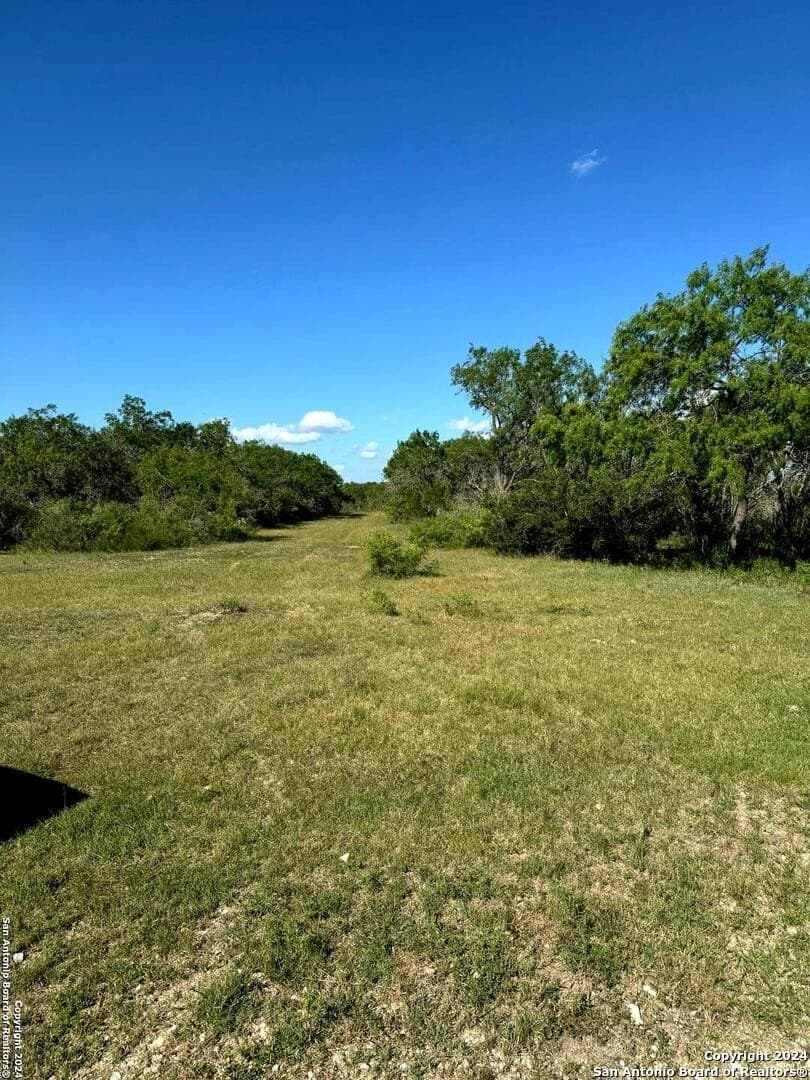 22.22 acres in Atascosa County - photo 14