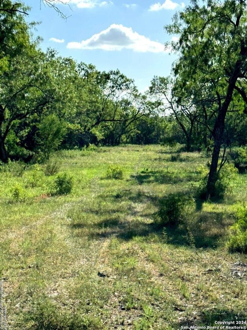 22.22 acres in Atascosa County - photo 17