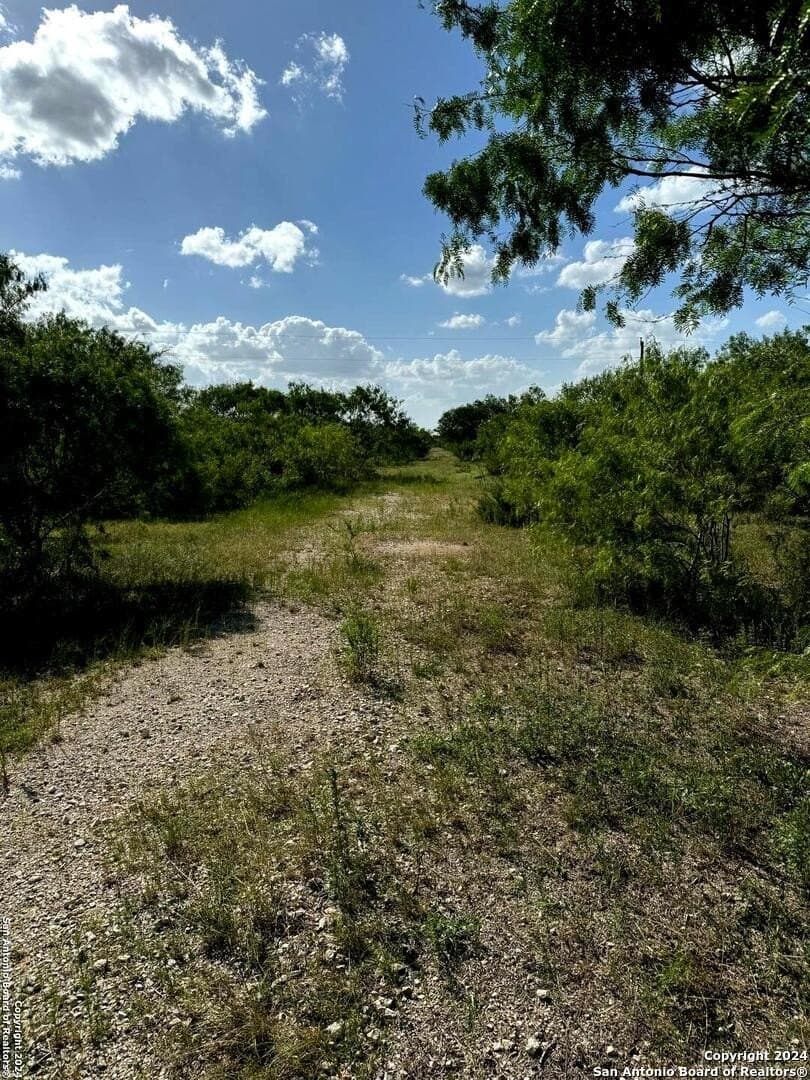 22.22 acres in Atascosa County - photo 8