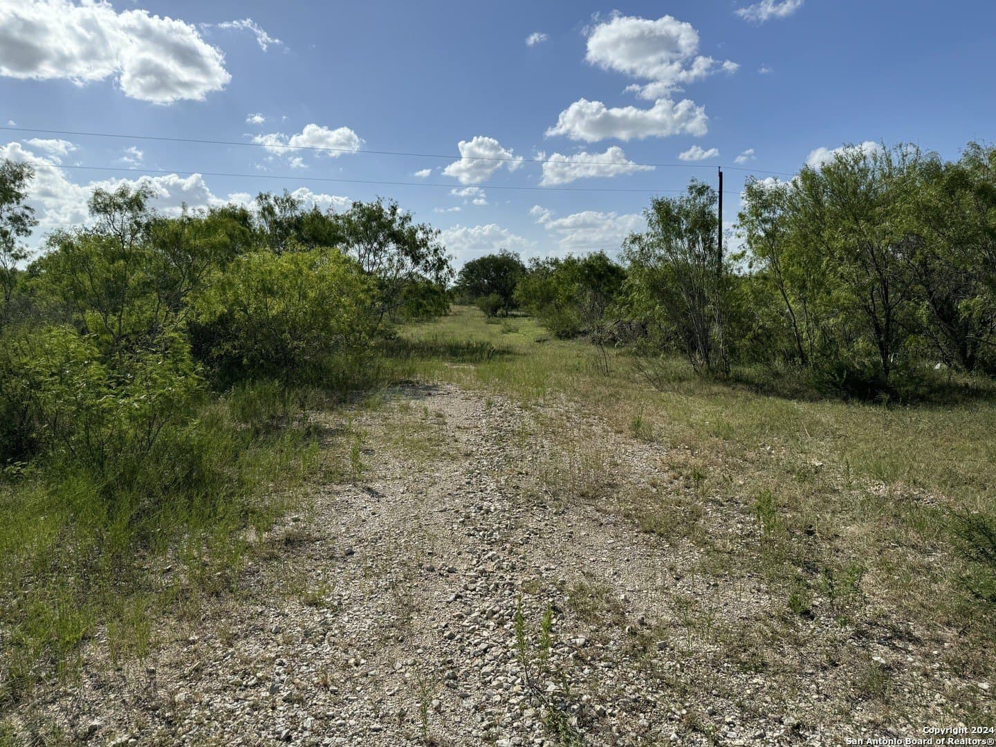 22.22 acres in Atascosa County - photo 9