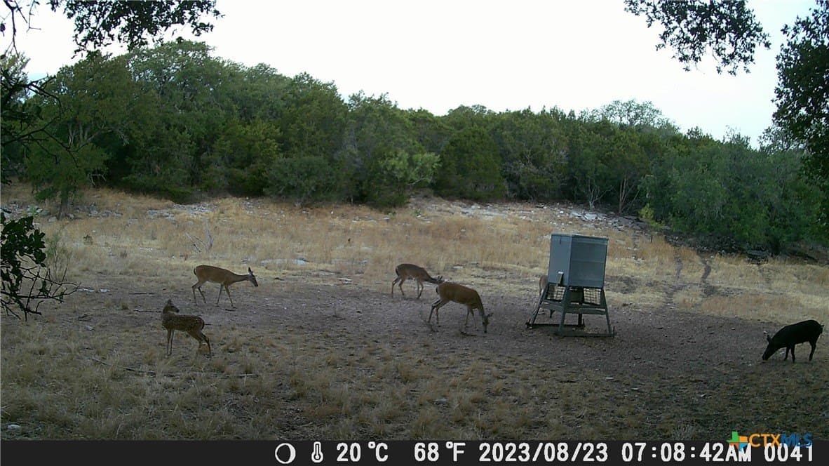60.09 acres in Lampasas County - photo 22