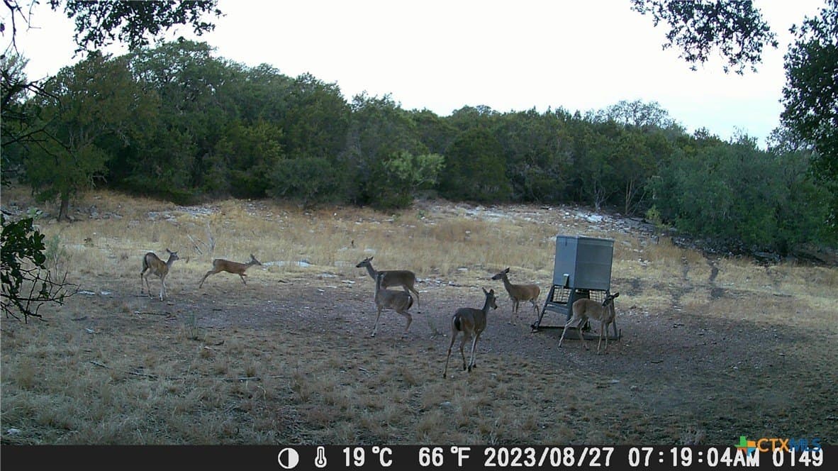 60.09 acres in Lampasas County - photo 26