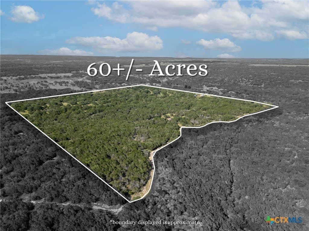 60.09 acres in Lampasas County - photo 6