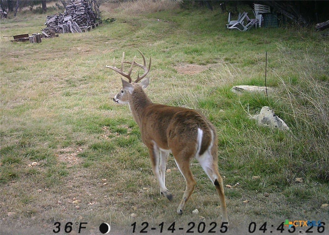 60.09 acres in Lampasas County - photo 29
