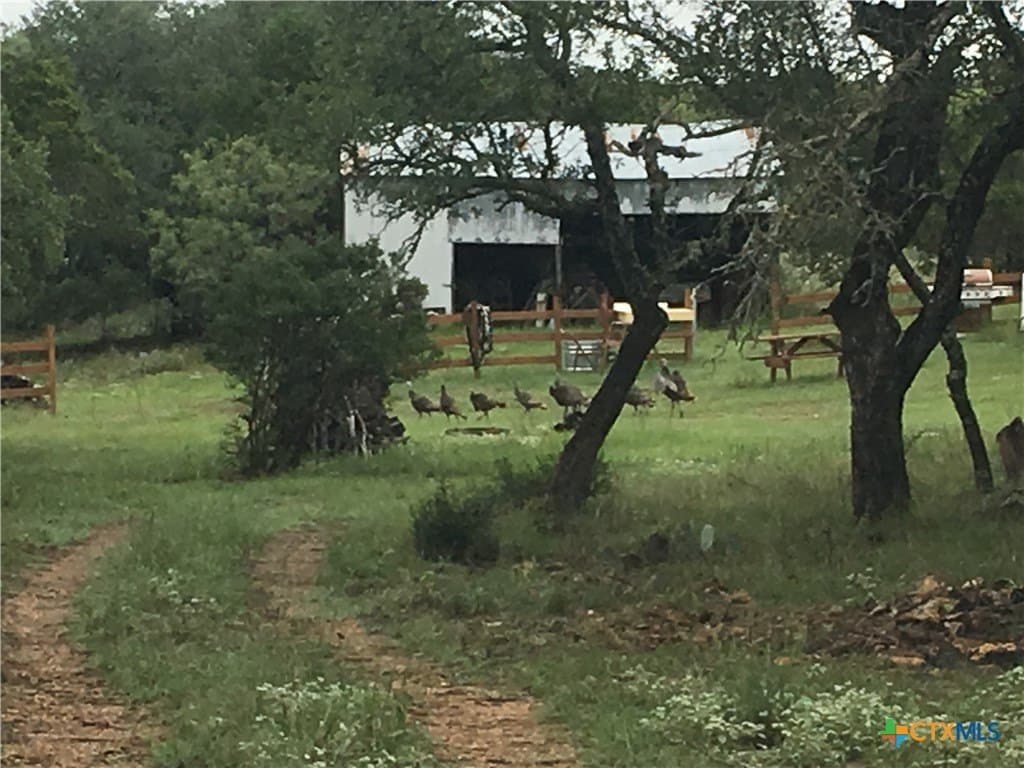 60.09 acres in Lampasas County - photo 3