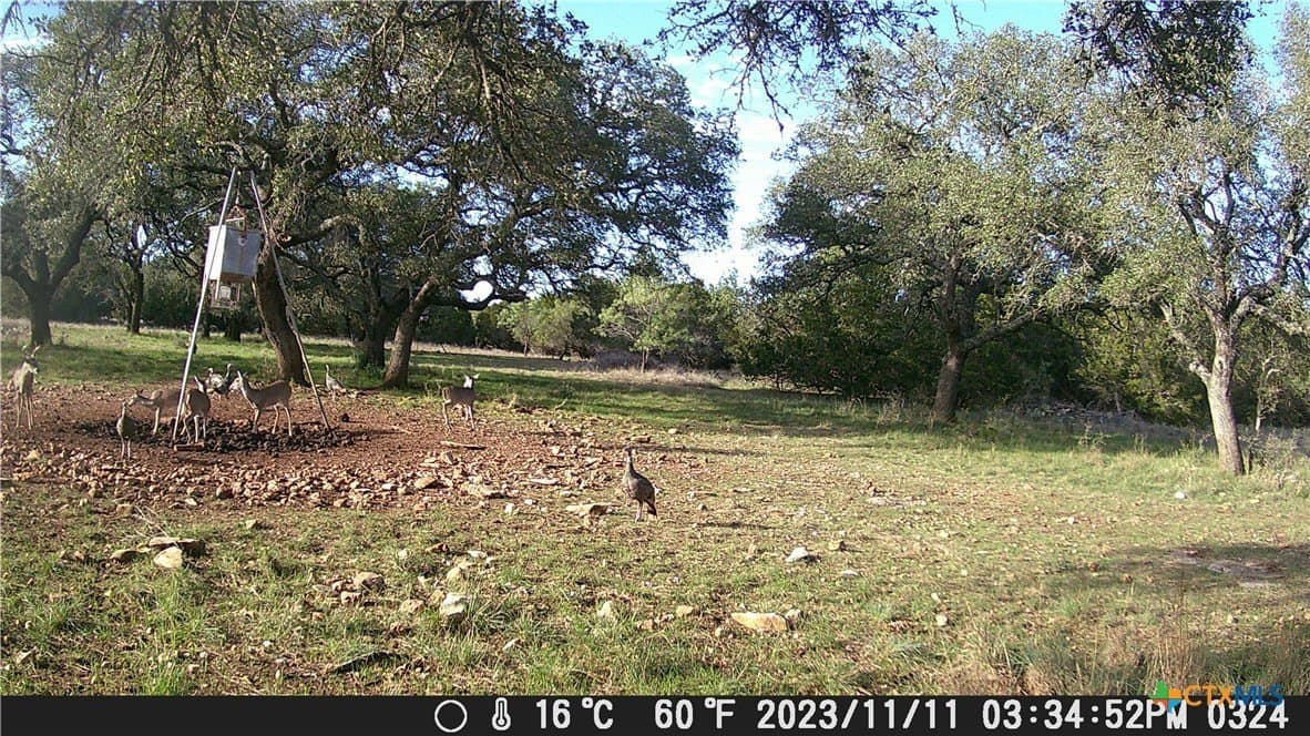 60.09 acres in Lampasas County - photo 30
