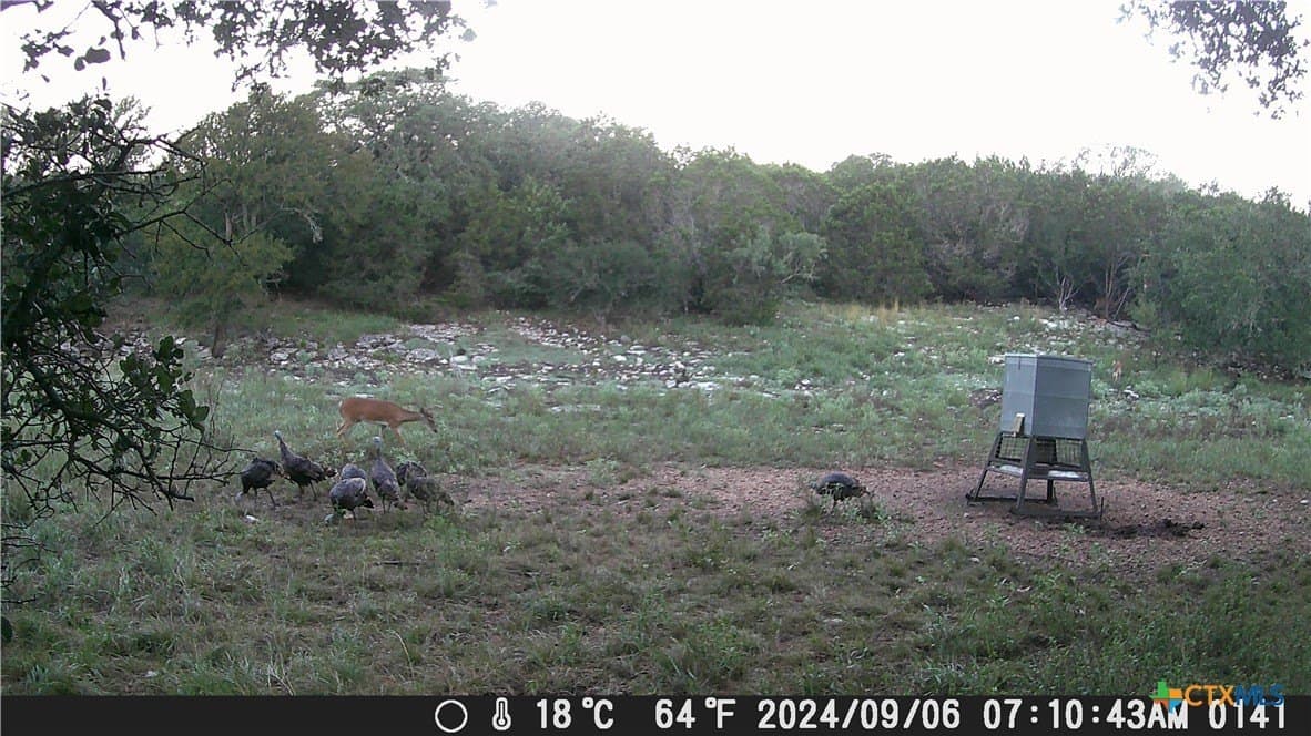 60.09 acres in Lampasas County - photo 24