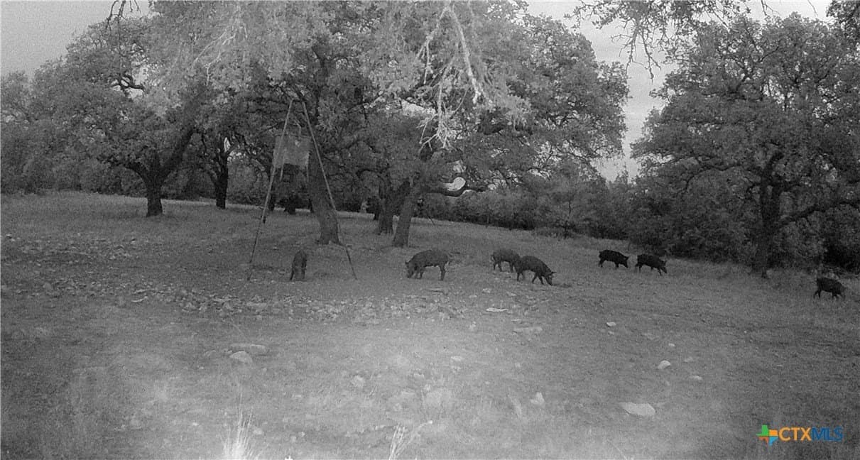 60.09 acres in Lampasas County - photo 23