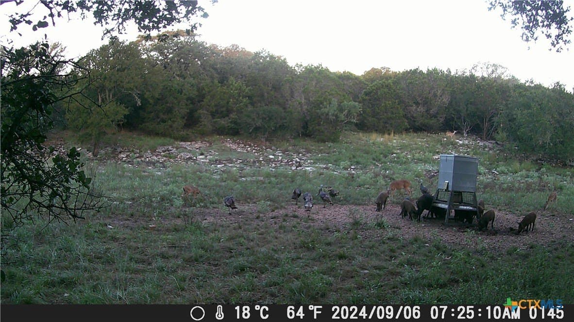 60.09 acres in Lampasas County - photo 25