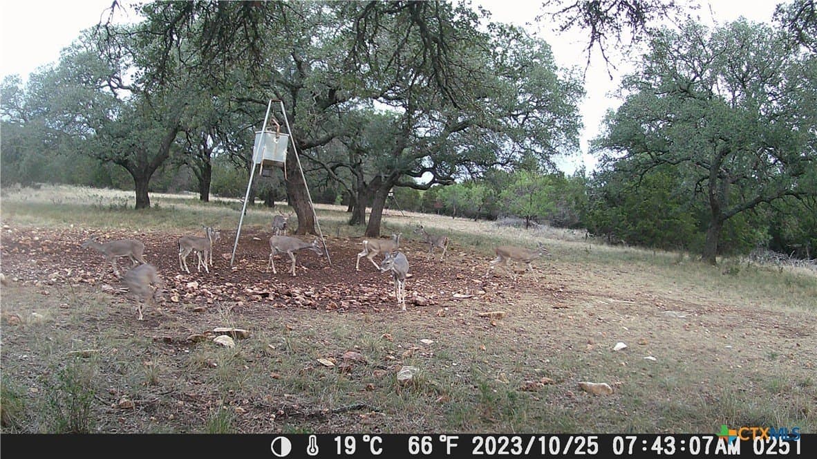60.09 acres in Lampasas County - photo 27