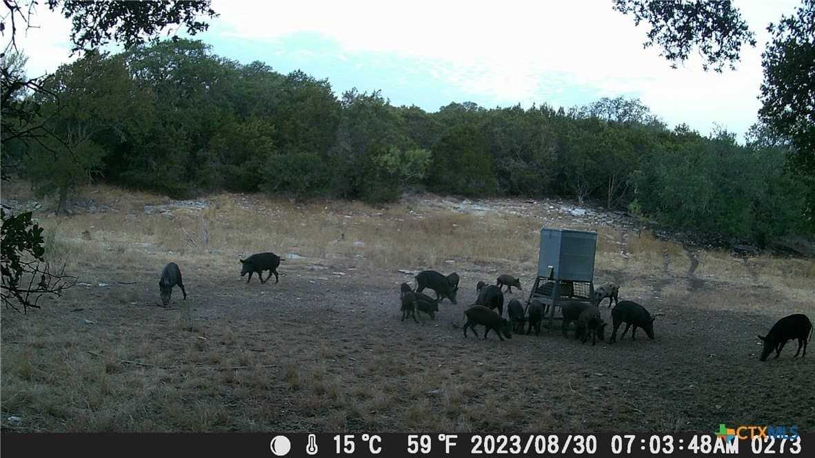 60.09 acres in Lampasas County - photo 28