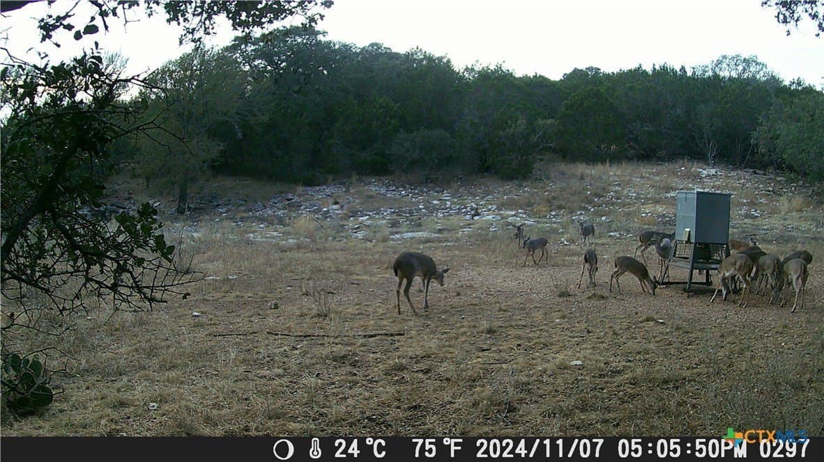 60.09 acres in Lampasas County - photo 4