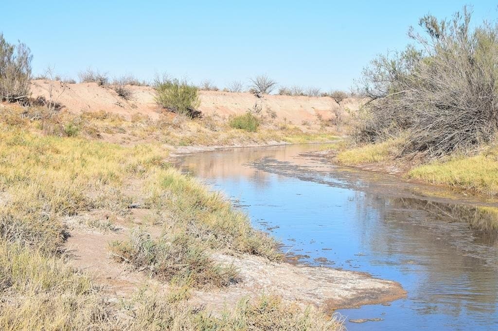 80.6 acres in Crane County - photo 4
