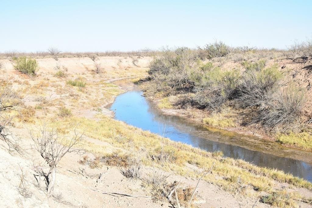 80.6 acres in Crane County - photo 5