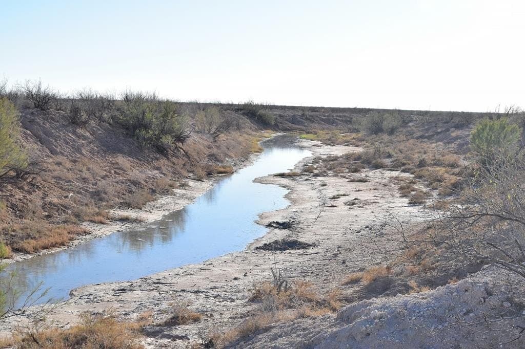 80.6 acres in Crane County - photo 3