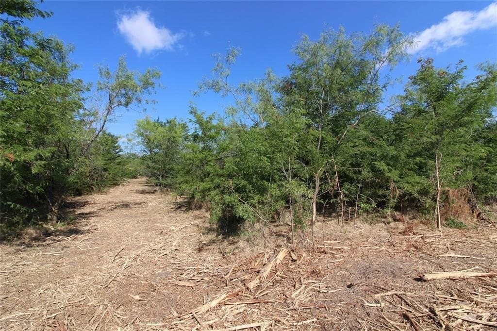6.04 acres in Kaufman County - photo 3