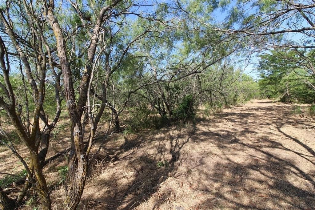 6.04 acres in Kaufman County - photo 27