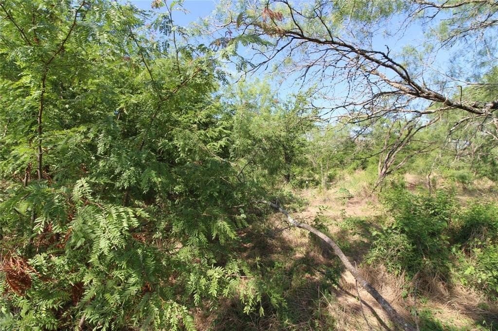 6.04 acres in Kaufman County - photo 9