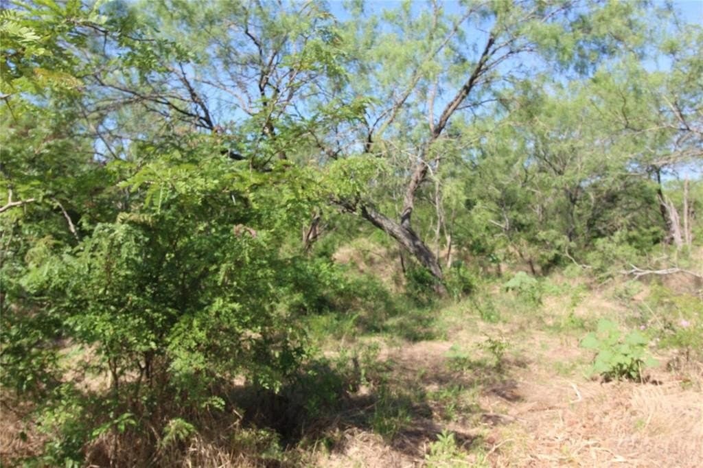 6.04 acres in Kaufman County - photo 4
