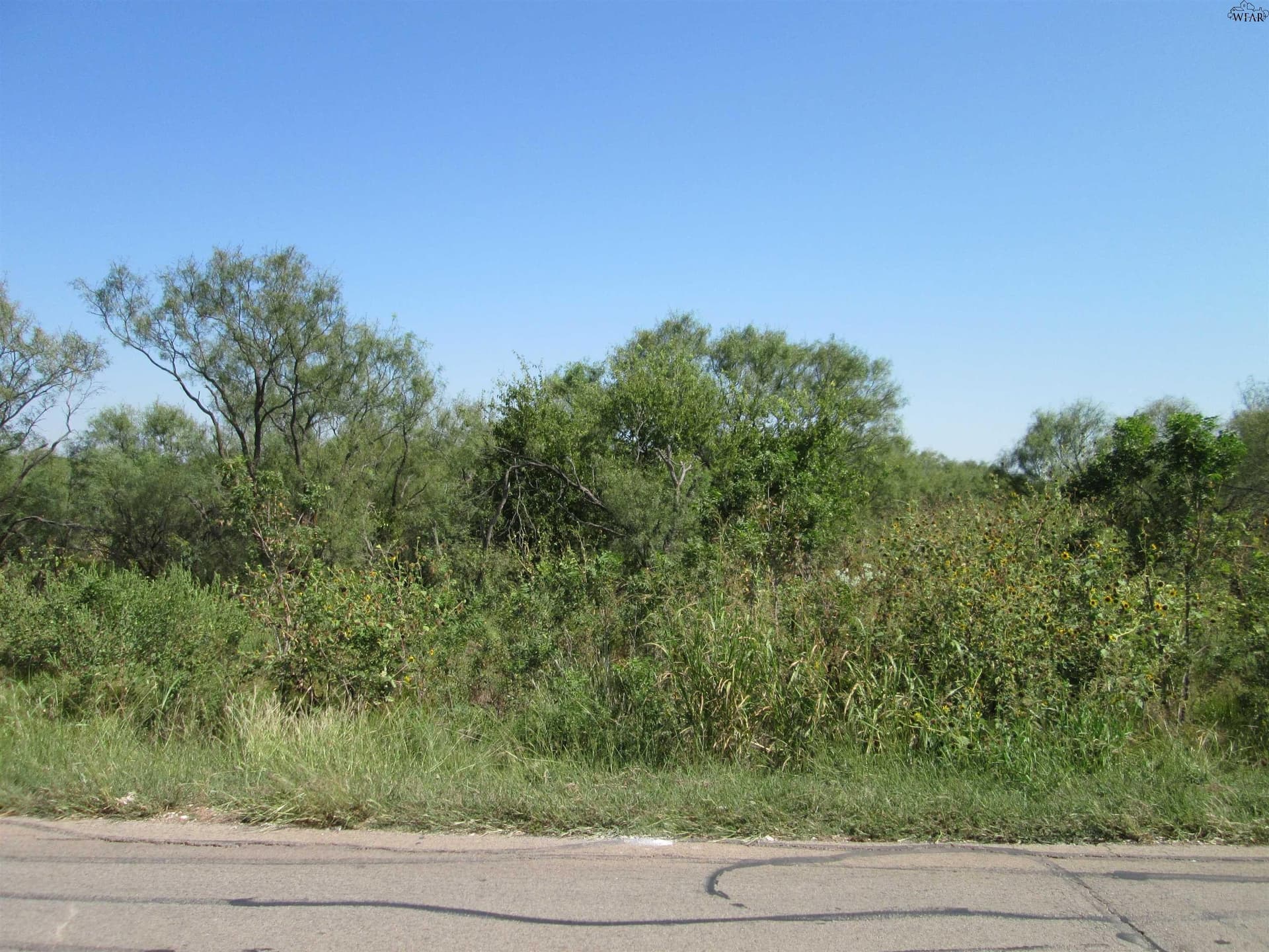 43.87 acres in Wichita County - photo 2