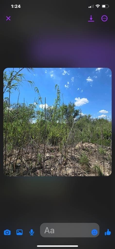 0.69 acres in Val Verde County - photo 5