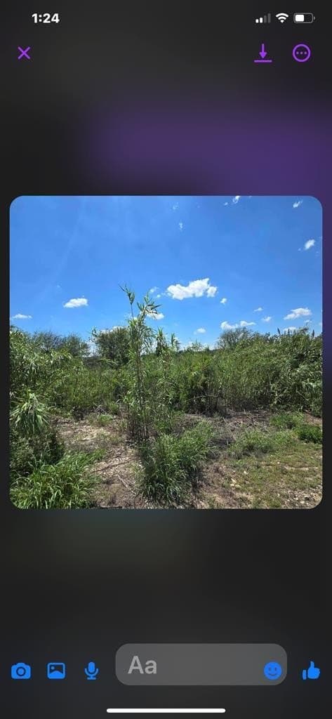 0.69 acres in Val Verde County - photo 7