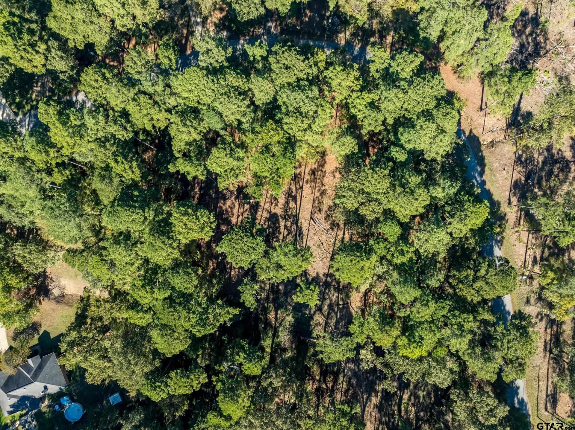 1.2 acres in Smith County - photo 6