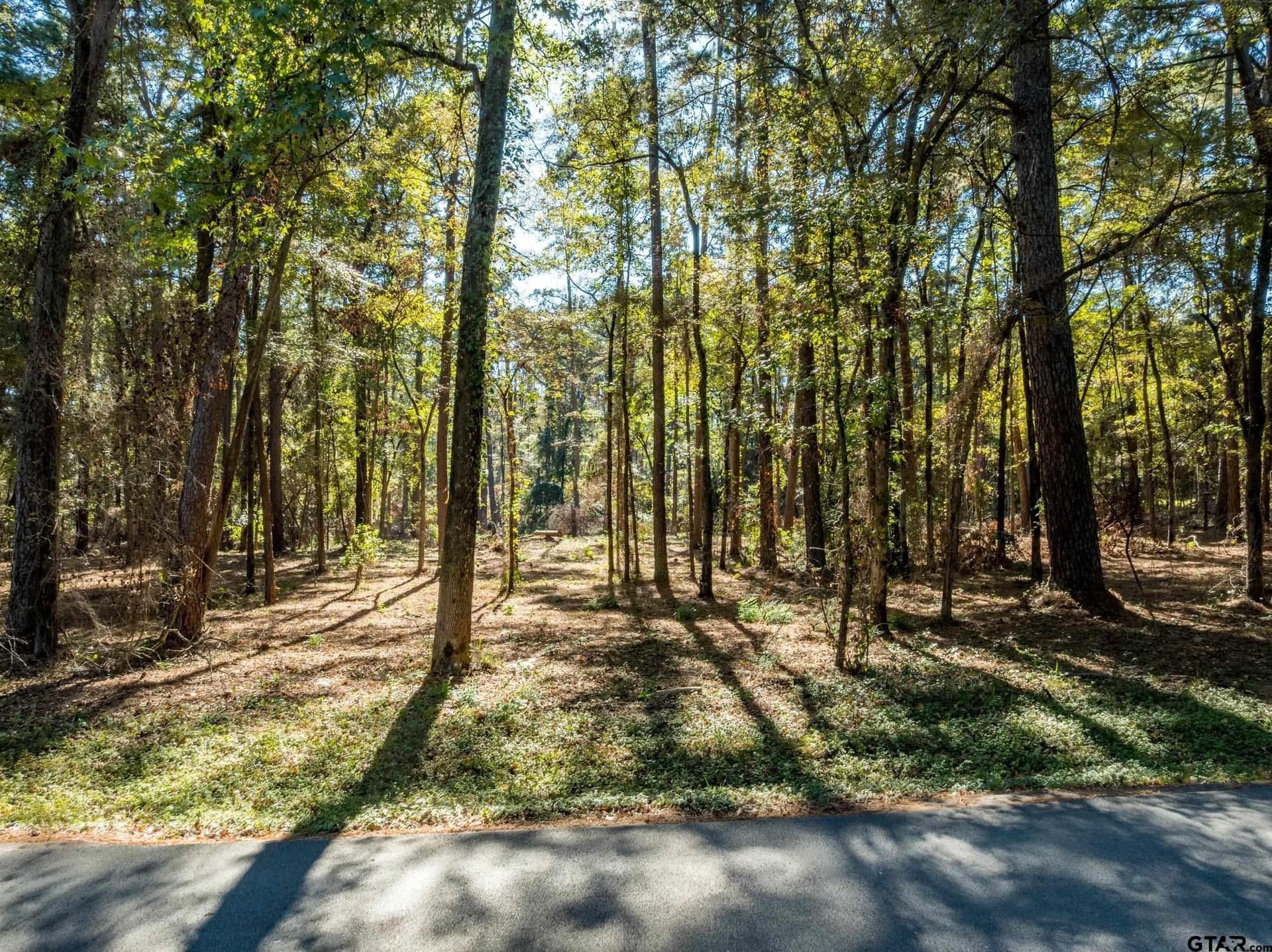 1.2 acres in Smith County - photo 7