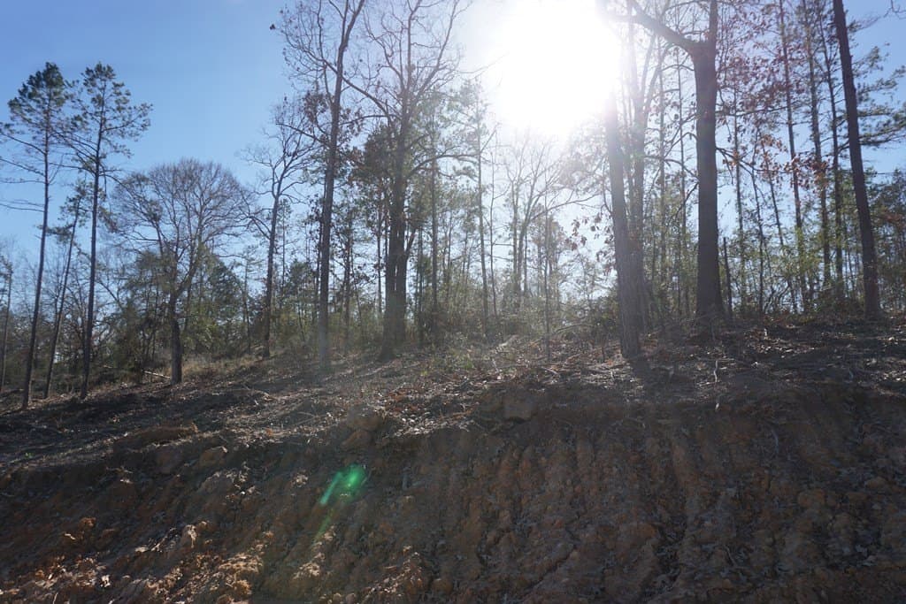 16.92 acres in LEON County - photo 3