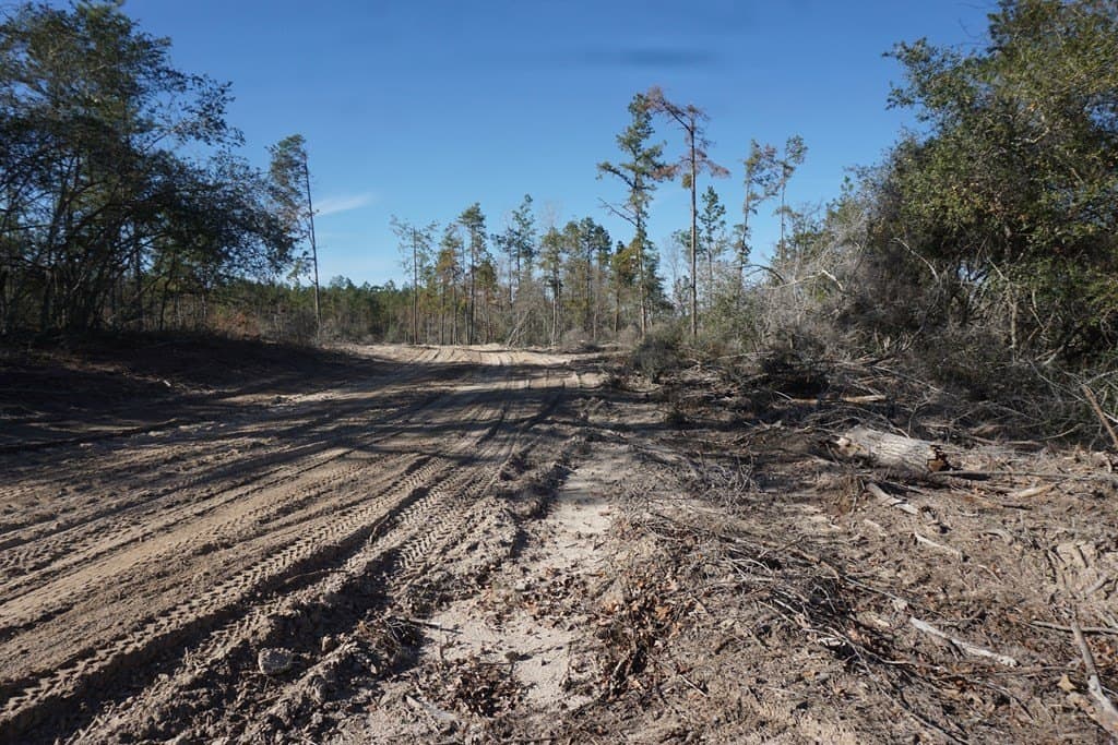 16.92 acres in LEON County - photo 4