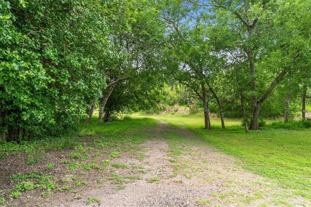 19.35 acres in Jim Wells County - photo 16