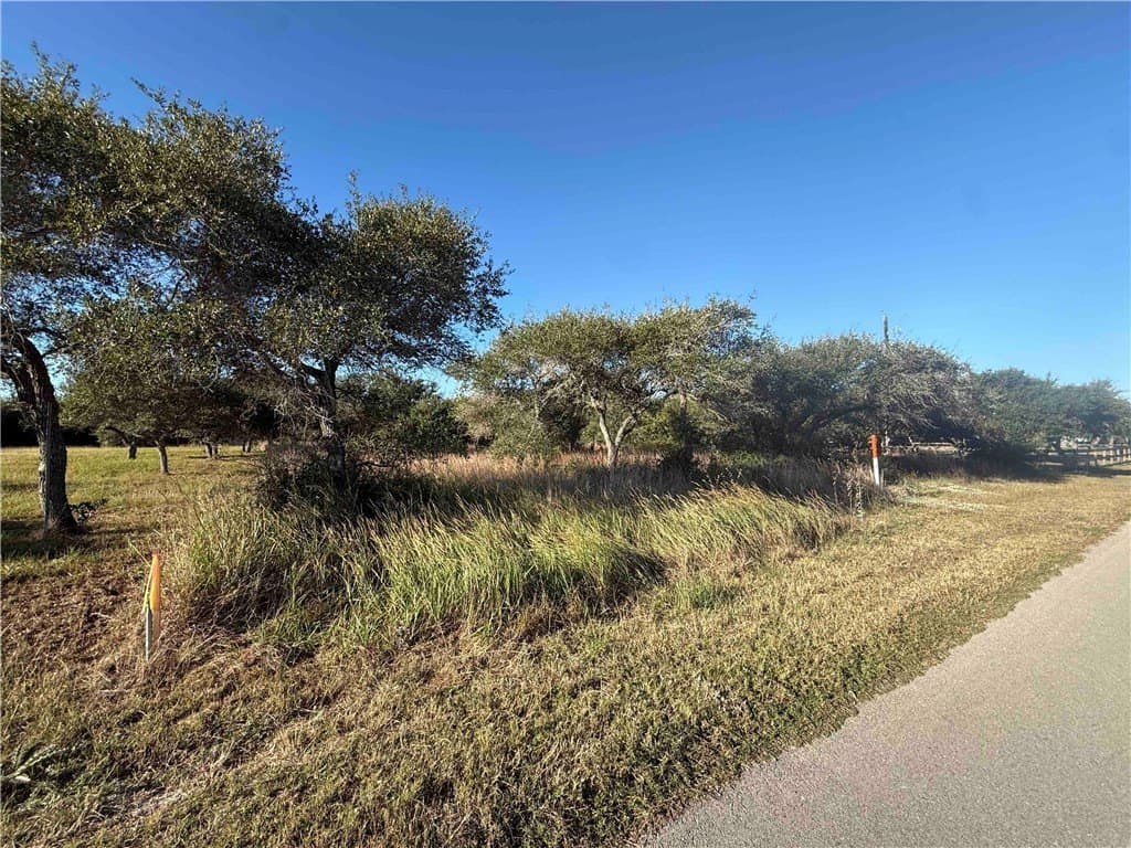 1.32 acres in San Patricio County - photo 2