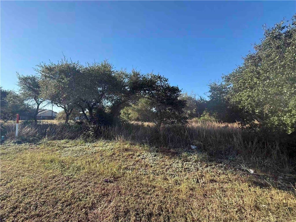 1.32 acres in San Patricio County - photo 5