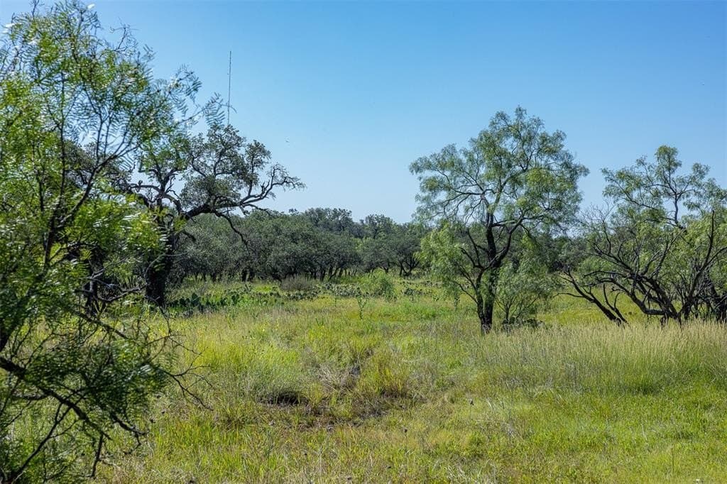 257 acres in McCulloch County - photo 13