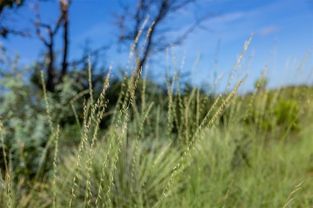 257 acres in McCulloch County - photo 15