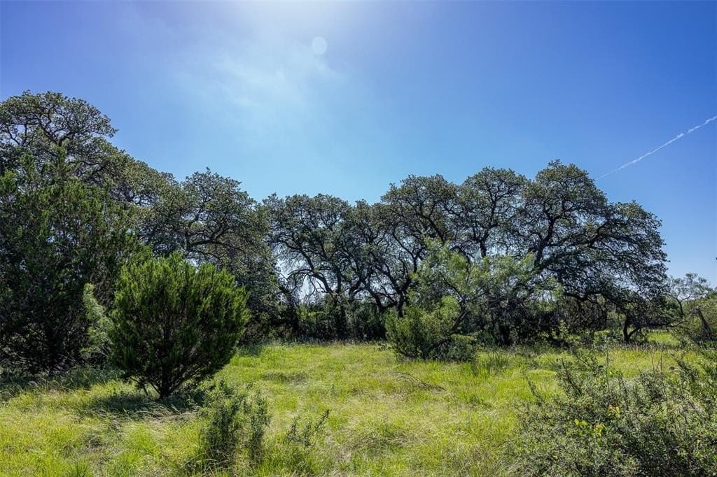 257 acres in McCulloch County - photo 12
