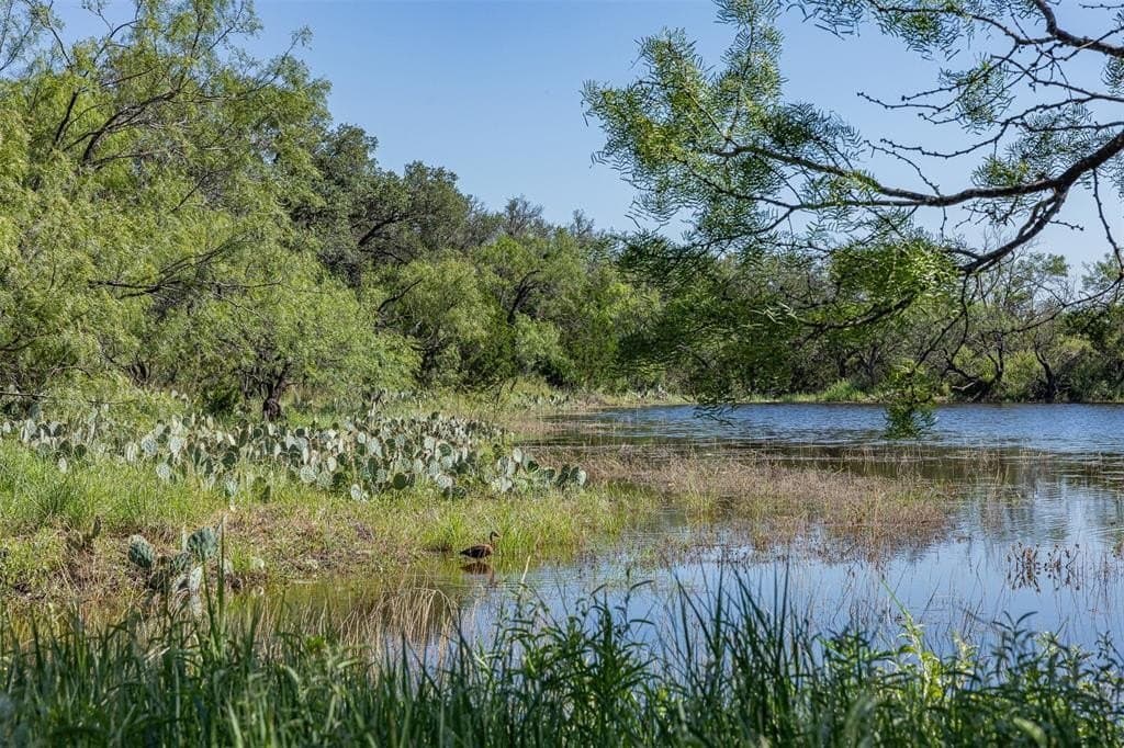 257 acres in McCulloch County - photo 34