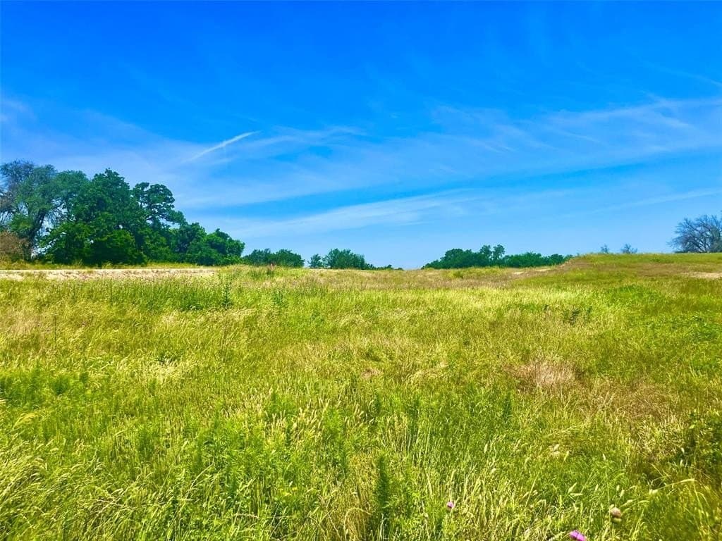 2 acres in Parker County - photo 2