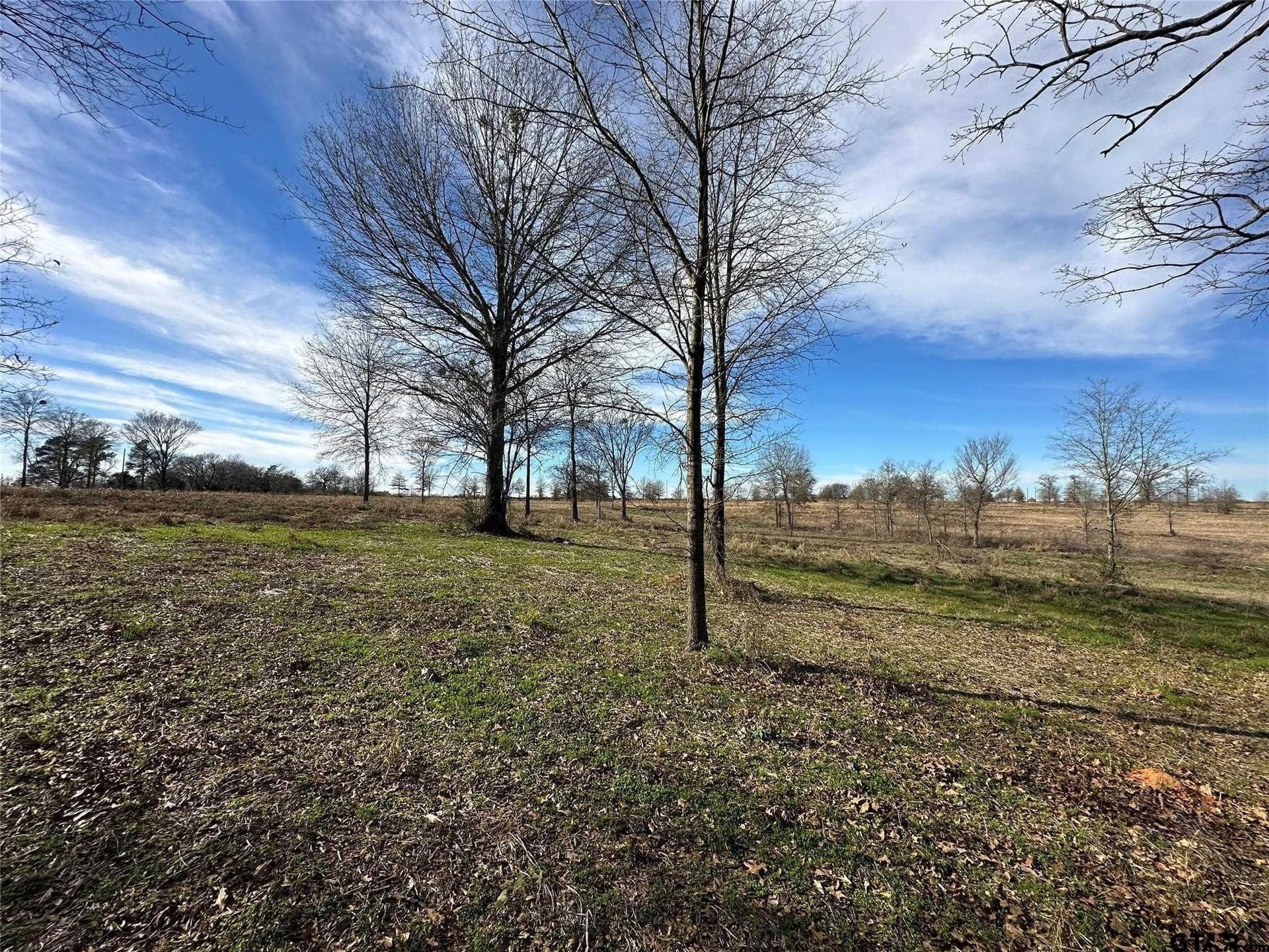 35.26 acres in Hopkins County - photo 12