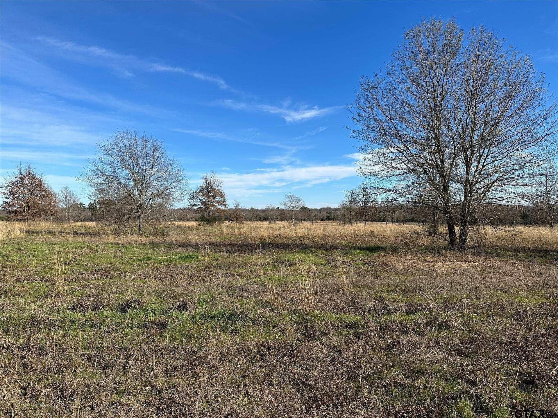 35.26 acres in Hopkins County - photo 24