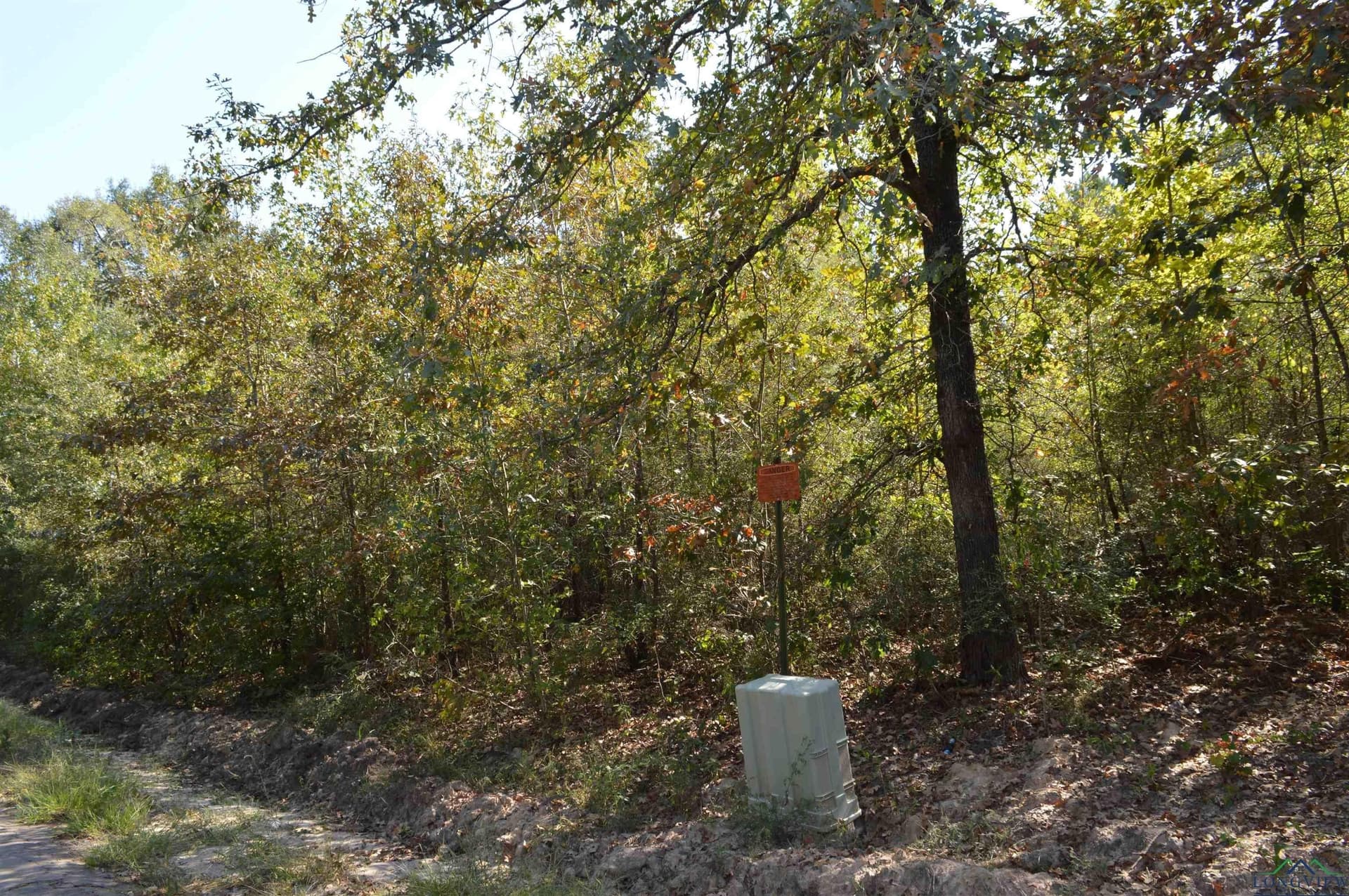 50 acres in Texas County - photo 3